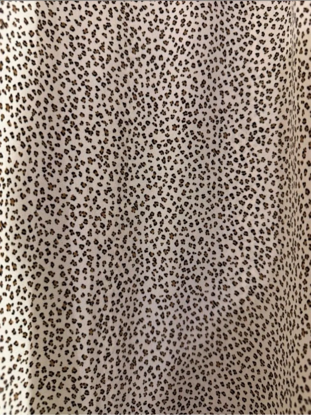 Banana Republic Woman’s Leopard Print Button-Up Shirt